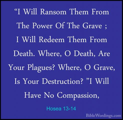 Hosea 13-14 - "I Will Ransom Them From The Power Of The Grave ; I"I Will Ransom Them From The Power Of The Grave ; I Will Redeem Them From Death. Where, O Death, Are Your Plagues? Where, O Grave, Is Your Destruction? "I Will Have No Compassion, 