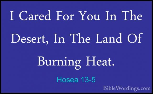 Hosea 13-5 - I Cared For You In The Desert, In The Land Of BurninI Cared For You In The Desert, In The Land Of Burning Heat. 