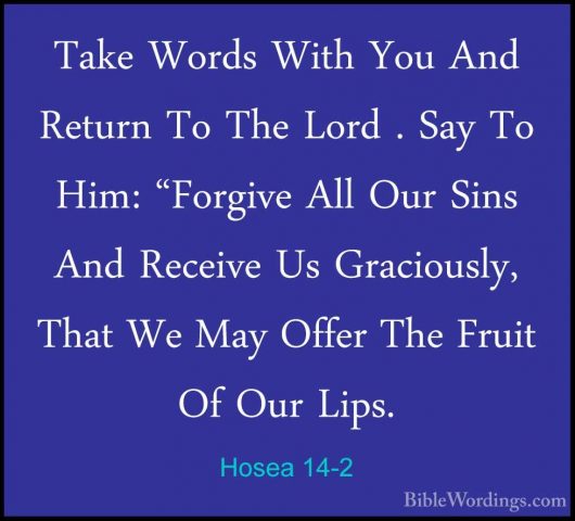 Hosea 14-2 - Take Words With You And Return To The Lord . Say ToTake Words With You And Return To The Lord . Say To Him: "Forgive All Our Sins And Receive Us Graciously, That We May Offer The Fruit Of Our Lips. 