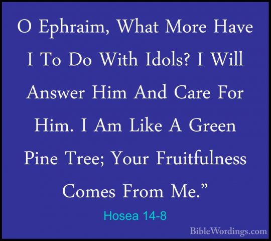 Hosea 14-8 - O Ephraim, What More Have I To Do With Idols? I WillO Ephraim, What More Have I To Do With Idols? I Will Answer Him And Care For Him. I Am Like A Green Pine Tree; Your Fruitfulness Comes From Me." 