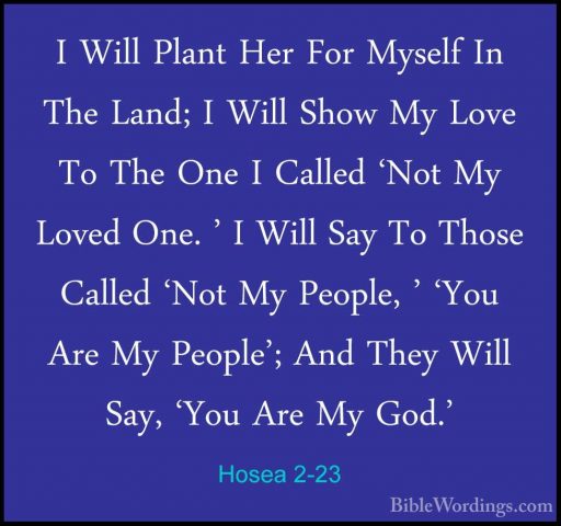 Hosea 2-23 - I Will Plant Her For Myself In The Land; I Will ShowI Will Plant Her For Myself In The Land; I Will Show My Love To The One I Called 'Not My Loved One. ' I Will Say To Those Called 'Not My People, ' 'You Are My People'; And They Will Say, 'You Are My God.'
