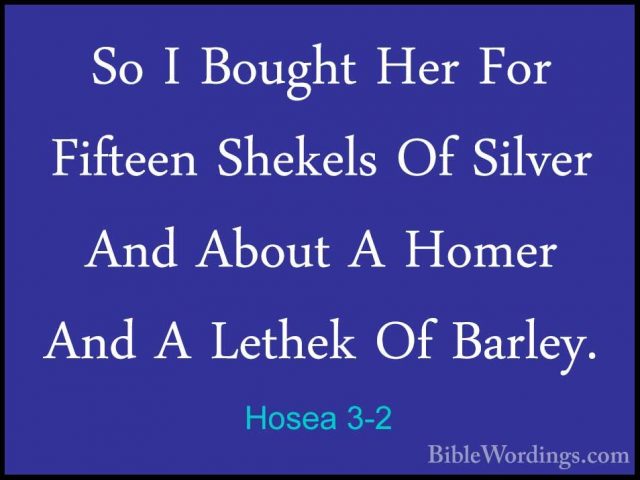 Hosea 3-2 - So I Bought Her For Fifteen Shekels Of Silver And AboSo I Bought Her For Fifteen Shekels Of Silver And About A Homer And A Lethek Of Barley. 