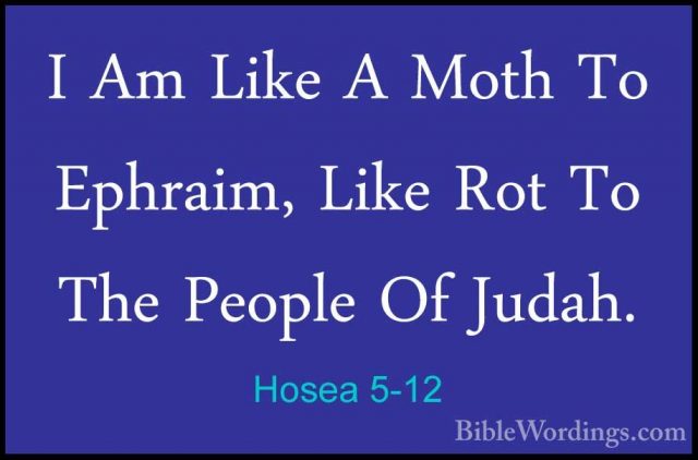 Hosea 5-12 - I Am Like A Moth To Ephraim, Like Rot To The PeopleI Am Like A Moth To Ephraim, Like Rot To The People Of Judah. 