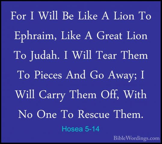 Hosea 5-14 - For I Will Be Like A Lion To Ephraim, Like A Great LFor I Will Be Like A Lion To Ephraim, Like A Great Lion To Judah. I Will Tear Them To Pieces And Go Away; I Will Carry Them Off, With No One To Rescue Them. 