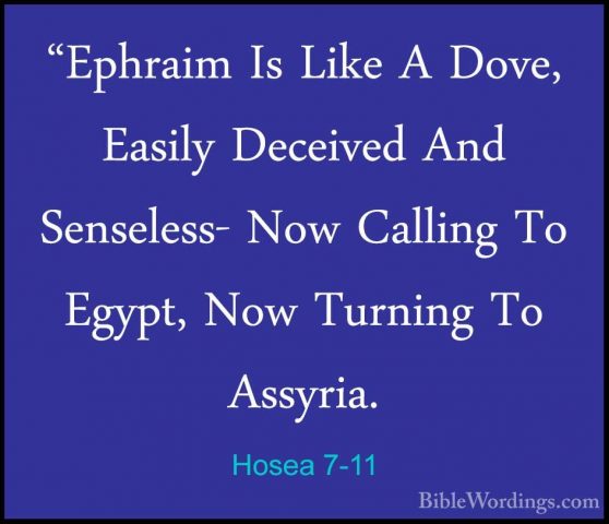 Hosea 7-11 - "Ephraim Is Like A Dove, Easily Deceived And Sensele"Ephraim Is Like A Dove, Easily Deceived And Senseless- Now Calling To Egypt, Now Turning To Assyria. 