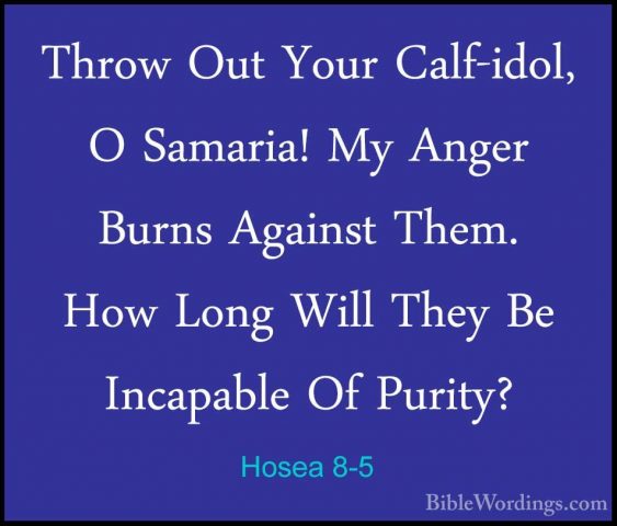 Hosea 8-5 - Throw Out Your Calf-idol, O Samaria! My Anger Burns AThrow Out Your Calf-idol, O Samaria! My Anger Burns Against Them. How Long Will They Be Incapable Of Purity? 