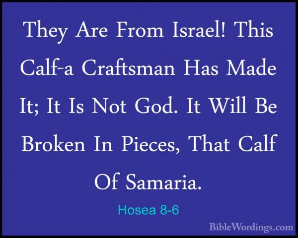 Hosea 8-6 - They Are From Israel! This Calf-a Craftsman Has MadeThey Are From Israel! This Calf-a Craftsman Has Made It; It Is Not God. It Will Be Broken In Pieces, That Calf Of Samaria. 