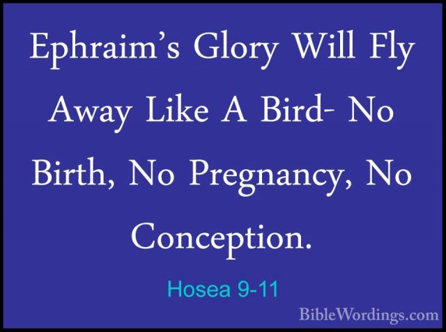 Hosea 9-11 - Ephraim's Glory Will Fly Away Like A Bird- No Birth,Ephraim's Glory Will Fly Away Like A Bird- No Birth, No Pregnancy, No Conception. 