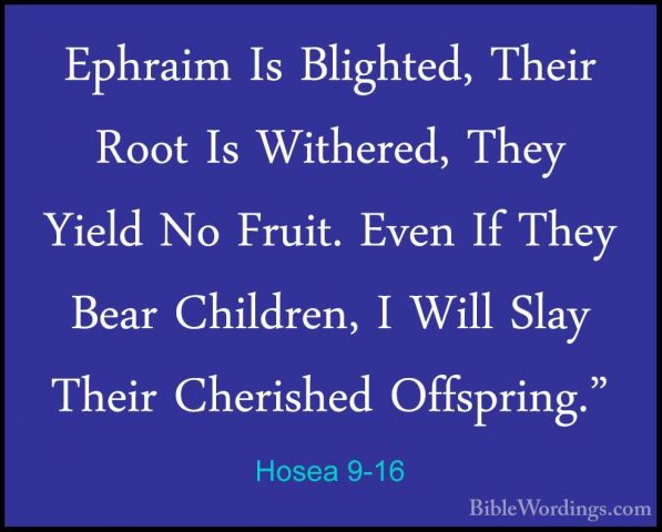 Hosea 9-16 - Ephraim Is Blighted, Their Root Is Withered, They YiEphraim Is Blighted, Their Root Is Withered, They Yield No Fruit. Even If They Bear Children, I Will Slay Their Cherished Offspring." 