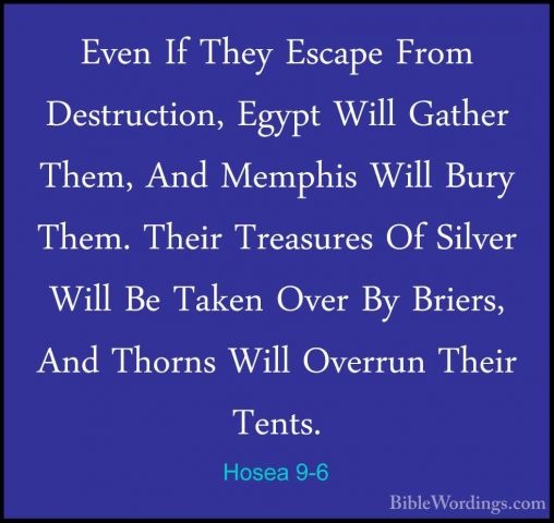 Hosea 9-6 - Even If They Escape From Destruction, Egypt Will GathEven If They Escape From Destruction, Egypt Will Gather Them, And Memphis Will Bury Them. Their Treasures Of Silver Will Be Taken Over By Briers, And Thorns Will Overrun Their Tents. 