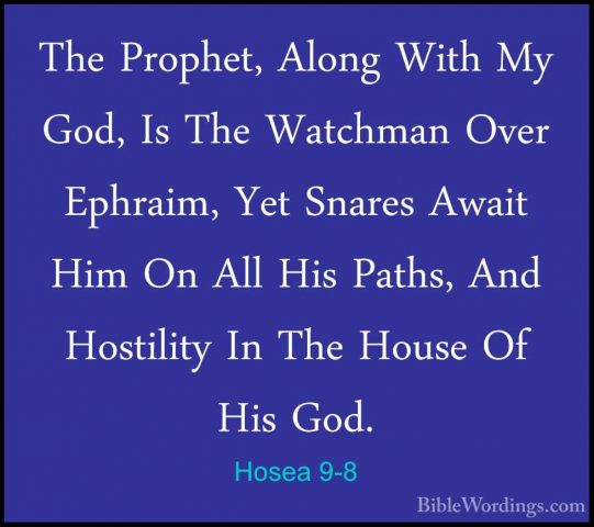 Hosea 9-8 - The Prophet, Along With My God, Is The Watchman OverThe Prophet, Along With My God, Is The Watchman Over Ephraim, Yet Snares Await Him On All His Paths, And Hostility In The House Of His God. 