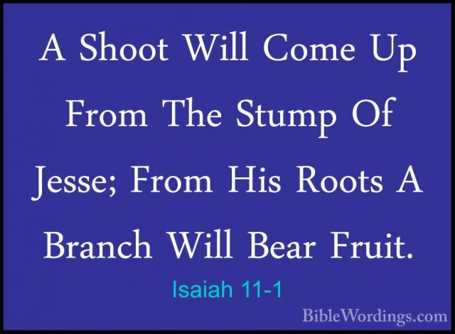 Isaiah 11-1 - A Shoot Will Come Up From The Stump Of Jesse; FromA Shoot Will Come Up From The Stump Of Jesse; From His Roots A Branch Will Bear Fruit. 
