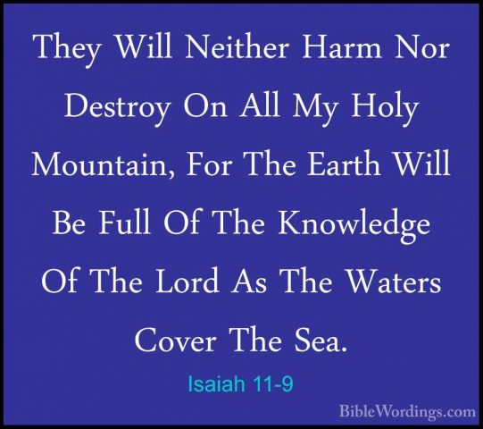 Isaiah 11-9 - They Will Neither Harm Nor Destroy On All My Holy MThey Will Neither Harm Nor Destroy On All My Holy Mountain, For The Earth Will Be Full Of The Knowledge Of The Lord As The Waters Cover The Sea. 