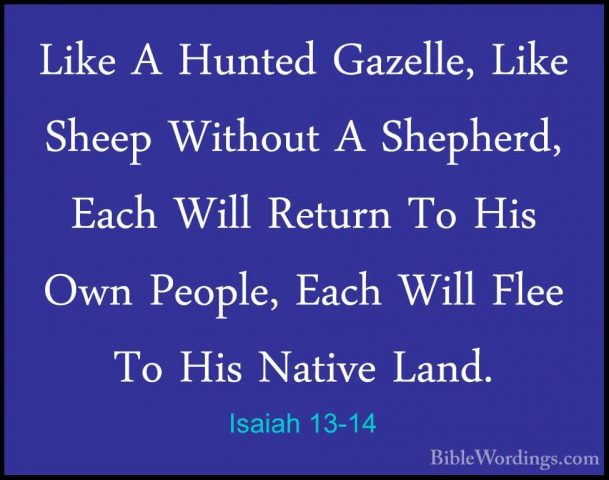 Isaiah 13-14 - Like A Hunted Gazelle, Like Sheep Without A ShepheLike A Hunted Gazelle, Like Sheep Without A Shepherd, Each Will Return To His Own People, Each Will Flee To His Native Land. 