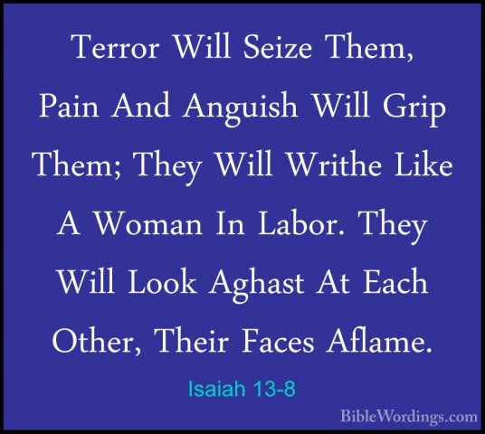 Isaiah 13-8 - Terror Will Seize Them, Pain And Anguish Will GripTerror Will Seize Them, Pain And Anguish Will Grip Them; They Will Writhe Like A Woman In Labor. They Will Look Aghast At Each Other, Their Faces Aflame. 
