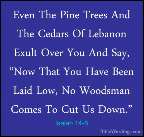 Isaiah 14-8 - Even The Pine Trees And The Cedars Of Lebanon ExultEven The Pine Trees And The Cedars Of Lebanon Exult Over You And Say, "Now That You Have Been Laid Low, No Woodsman Comes To Cut Us Down." 