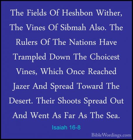 Isaiah 16-8 - The Fields Of Heshbon Wither, The Vines Of Sibmah AThe Fields Of Heshbon Wither, The Vines Of Sibmah Also. The Rulers Of The Nations Have Trampled Down The Choicest Vines, Which Once Reached Jazer And Spread Toward The Desert. Their Shoots Spread Out And Went As Far As The Sea. 
