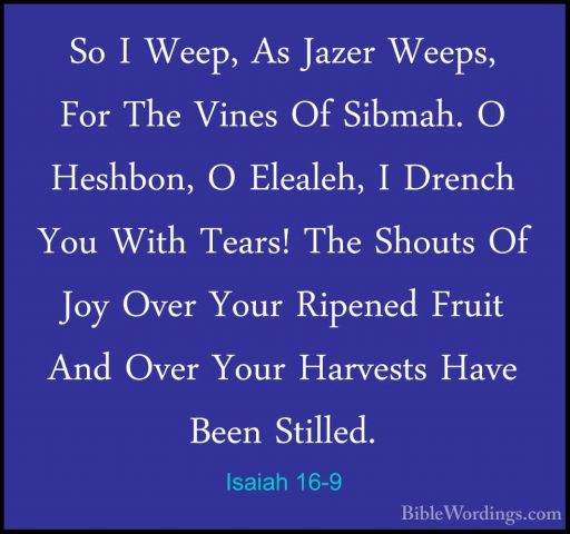 Isaiah 16-9 - So I Weep, As Jazer Weeps, For The Vines Of Sibmah.So I Weep, As Jazer Weeps, For The Vines Of Sibmah. O Heshbon, O Elealeh, I Drench You With Tears! The Shouts Of Joy Over Your Ripened Fruit And Over Your Harvests Have Been Stilled. 