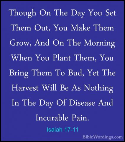 Isaiah 17-11 - Though On The Day You Set Them Out, You Make ThemThough On The Day You Set Them Out, You Make Them Grow, And On The Morning When You Plant Them, You Bring Them To Bud, Yet The Harvest Will Be As Nothing In The Day Of Disease And Incurable Pain. 