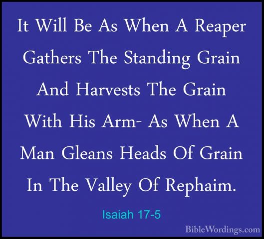Isaiah 17-5 - It Will Be As When A Reaper Gathers The Standing GrIt Will Be As When A Reaper Gathers The Standing Grain And Harvests The Grain With His Arm- As When A Man Gleans Heads Of Grain In The Valley Of Rephaim. 