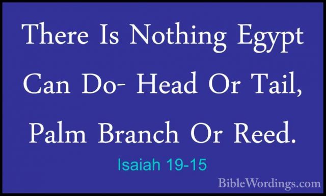 Isaiah 19-15 - There Is Nothing Egypt Can Do- Head Or Tail, PalmThere Is Nothing Egypt Can Do- Head Or Tail, Palm Branch Or Reed. 
