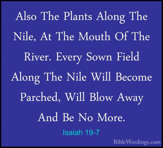Isaiah 19-7 - Also The Plants Along The Nile, At The Mouth Of TheAlso The Plants Along The Nile, At The Mouth Of The River. Every Sown Field Along The Nile Will Become Parched, Will Blow Away And Be No More. 
