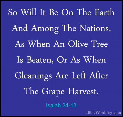 Isaiah 24-13 - So Will It Be On The Earth And Among The Nations,So Will It Be On The Earth And Among The Nations, As When An Olive Tree Is Beaten, Or As When Gleanings Are Left After The Grape Harvest. 