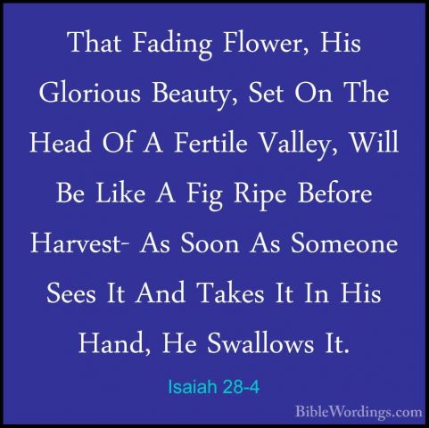 Isaiah 28-4 - That Fading Flower, His Glorious Beauty, Set On TheThat Fading Flower, His Glorious Beauty, Set On The Head Of A Fertile Valley, Will Be Like A Fig Ripe Before Harvest- As Soon As Someone Sees It And Takes It In His Hand, He Swallows It. 
