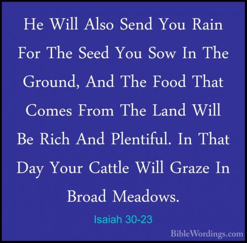 Isaiah 30-23 - He Will Also Send You Rain For The Seed You Sow InHe Will Also Send You Rain For The Seed You Sow In The Ground, And The Food That Comes From The Land Will Be Rich And Plentiful. In That Day Your Cattle Will Graze In Broad Meadows. 