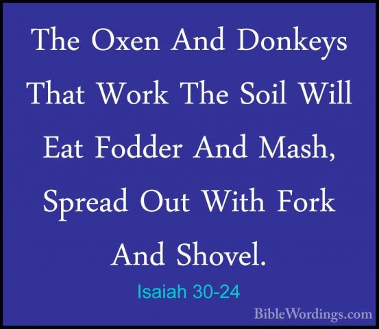 Isaiah 30-24 - The Oxen And Donkeys That Work The Soil Will Eat FThe Oxen And Donkeys That Work The Soil Will Eat Fodder And Mash, Spread Out With Fork And Shovel. 