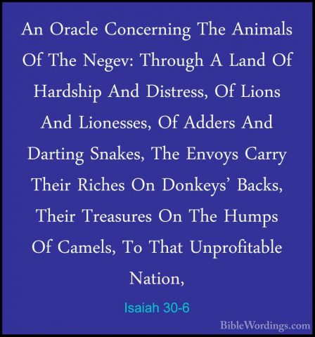 Isaiah 30-6 - An Oracle Concerning The Animals Of The Negev: ThroAn Oracle Concerning The Animals Of The Negev: Through A Land Of Hardship And Distress, Of Lions And Lionesses, Of Adders And Darting Snakes, The Envoys Carry Their Riches On Donkeys' Backs, Their Treasures On The Humps Of Camels, To That Unprofitable Nation, 