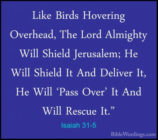 Isaiah 31-5 - Like Birds Hovering Overhead, The Lord Almighty WilLike Birds Hovering Overhead, The Lord Almighty Will Shield Jerusalem; He Will Shield It And Deliver It, He Will 'Pass Over' It And Will Rescue It." 