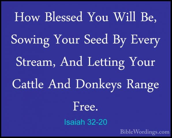Isaiah 32-20 - How Blessed You Will Be, Sowing Your Seed By EveryHow Blessed You Will Be, Sowing Your Seed By Every Stream, And Letting Your Cattle And Donkeys Range Free.