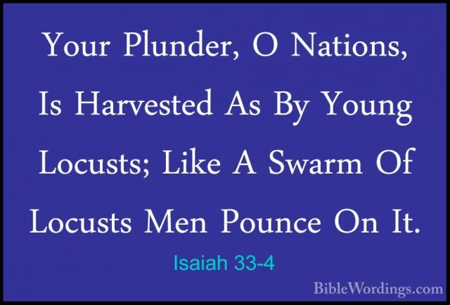 Isaiah 33-4 - Your Plunder, O Nations, Is Harvested As By Young LYour Plunder, O Nations, Is Harvested As By Young Locusts; Like A Swarm Of Locusts Men Pounce On It. 