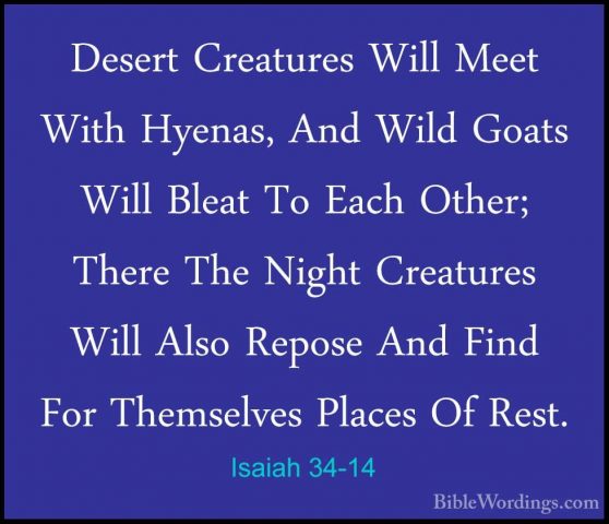 Isaiah 34-14 - Desert Creatures Will Meet With Hyenas, And Wild GDesert Creatures Will Meet With Hyenas, And Wild Goats Will Bleat To Each Other; There The Night Creatures Will Also Repose And Find For Themselves Places Of Rest. 
