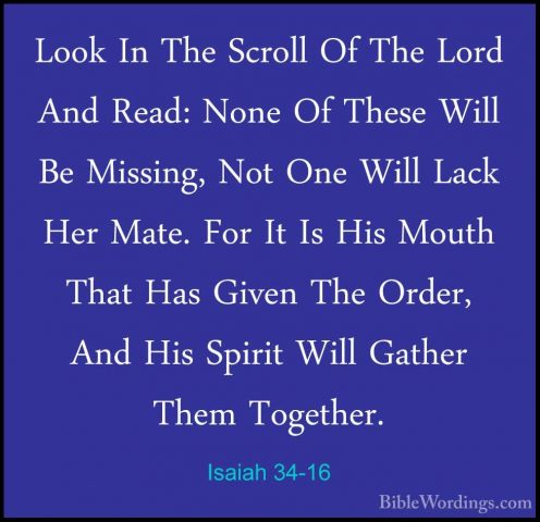 Isaiah 34-16 - Look In The Scroll Of The Lord And Read: None Of TLook In The Scroll Of The Lord And Read: None Of These Will Be Missing, Not One Will Lack Her Mate. For It Is His Mouth That Has Given The Order, And His Spirit Will Gather Them Together. 