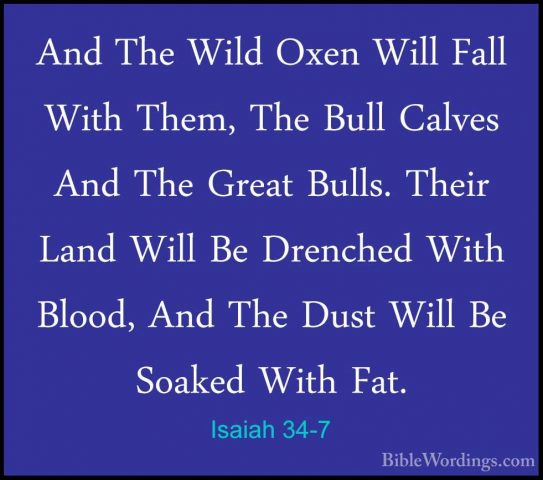 Isaiah 34-7 - And The Wild Oxen Will Fall With Them, The Bull CalAnd The Wild Oxen Will Fall With Them, The Bull Calves And The Great Bulls. Their Land Will Be Drenched With Blood, And The Dust Will Be Soaked With Fat. 