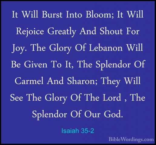 Isaiah 35-2 - It Will Burst Into Bloom; It Will Rejoice Greatly AIt Will Burst Into Bloom; It Will Rejoice Greatly And Shout For Joy. The Glory Of Lebanon Will Be Given To It, The Splendor Of Carmel And Sharon; They Will See The Glory Of The Lord , The Splendor Of Our God. 