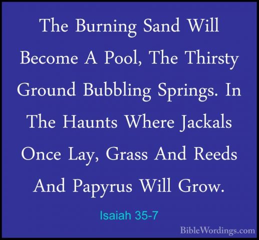 Isaiah 35-7 - The Burning Sand Will Become A Pool, The Thirsty GrThe Burning Sand Will Become A Pool, The Thirsty Ground Bubbling Springs. In The Haunts Where Jackals Once Lay, Grass And Reeds And Papyrus Will Grow. 