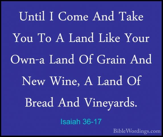 Isaiah 36-17 - Until I Come And Take You To A Land Like Your Own-Until I Come And Take You To A Land Like Your Own-a Land Of Grain And New Wine, A Land Of Bread And Vineyards. 
