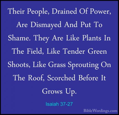 Isaiah 37-27 - Their People, Drained Of Power, Are Dismayed And PTheir People, Drained Of Power, Are Dismayed And Put To Shame. They Are Like Plants In The Field, Like Tender Green Shoots, Like Grass Sprouting On The Roof, Scorched Before It Grows Up. 