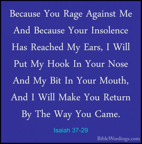 Isaiah 37-29 - Because You Rage Against Me And Because Your InsolBecause You Rage Against Me And Because Your Insolence Has Reached My Ears, I Will Put My Hook In Your Nose And My Bit In Your Mouth, And I Will Make You Return By The Way You Came. 
