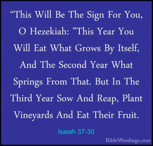 Isaiah 37-30 - "This Will Be The Sign For You, O Hezekiah: "This"This Will Be The Sign For You, O Hezekiah: "This Year You Will Eat What Grows By Itself, And The Second Year What Springs From That. But In The Third Year Sow And Reap, Plant Vineyards And Eat Their Fruit. 