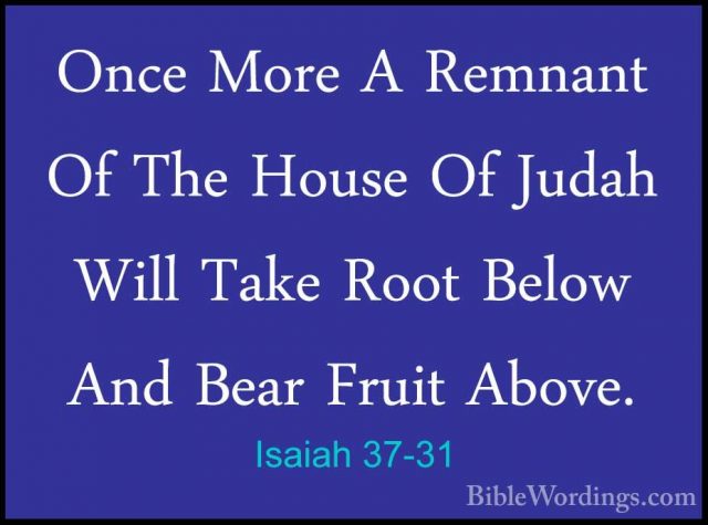 Isaiah 37-31 - Once More A Remnant Of The House Of Judah Will TakOnce More A Remnant Of The House Of Judah Will Take Root Below And Bear Fruit Above. 
