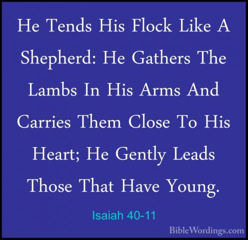 Isaiah 40-11 - He Tends His Flock Like A Shepherd: He Gathers TheHe Tends His Flock Like A Shepherd: He Gathers The Lambs In His Arms And Carries Them Close To His Heart; He Gently Leads Those That Have Young. 