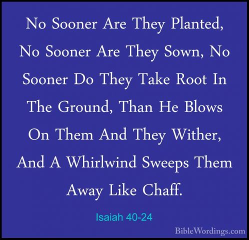 Isaiah 40-24 - No Sooner Are They Planted, No Sooner Are They SowNo Sooner Are They Planted, No Sooner Are They Sown, No Sooner Do They Take Root In The Ground, Than He Blows On Them And They Wither, And A Whirlwind Sweeps Them Away Like Chaff. 
