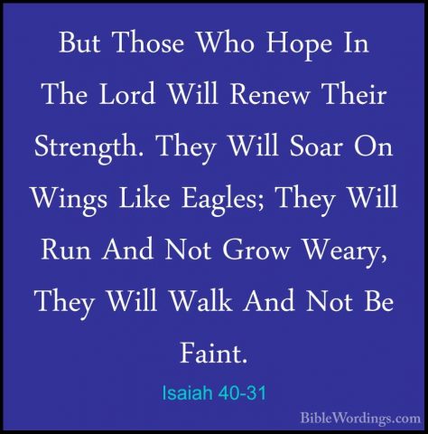 Isaiah 40-31 - But Those Who Hope In The Lord Will Renew Their StBut Those Who Hope In The Lord Will Renew Their Strength. They Will Soar On Wings Like Eagles; They Will Run And Not Grow Weary, They Will Walk And Not Be Faint.