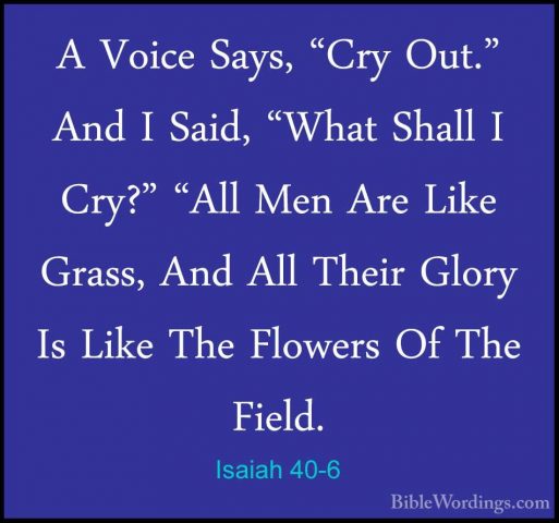 Isaiah 40-6 - A Voice Says, "Cry Out." And I Said, "What Shall IA Voice Says, "Cry Out." And I Said, "What Shall I Cry?" "All Men Are Like Grass, And All Their Glory Is Like The Flowers Of The Field. 