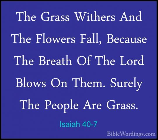 Isaiah 40-7 - The Grass Withers And The Flowers Fall, Because TheThe Grass Withers And The Flowers Fall, Because The Breath Of The Lord Blows On Them. Surely The People Are Grass. 