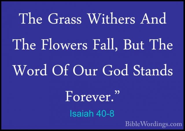 Isaiah 40-8 - The Grass Withers And The Flowers Fall, But The WorThe Grass Withers And The Flowers Fall, But The Word Of Our God Stands Forever." 